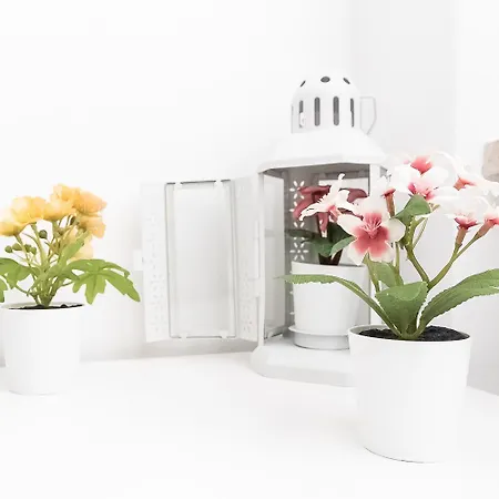 200 Mt Dal Centro La Piazzetta